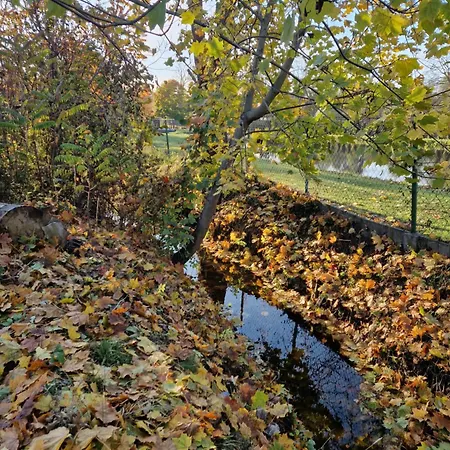 Mrozy House 1 - Maly Dom, Duzy Spokoj